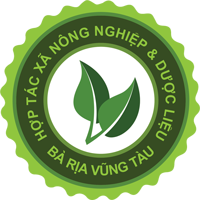HTX Nông Nghiệp & Dược Liệu Bà Rịa – Vũng Tàu HTX Nông Nghiệp & Dược Liệu Bà Rịa - Vũng Tàu